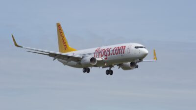 Pegasus Havayolları’nın Berlin’den İstanbul’a gelen Airbus 321 tipi uçağının pilotu,