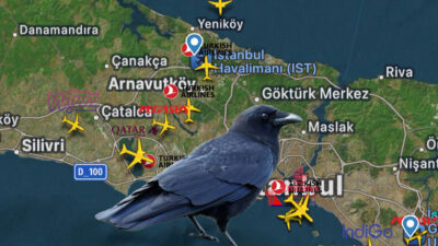 İstanbul Havalimanı’nı kullanan pilotlara küçük karga sürüleriyle karşılaşma potansiyeli olduğu