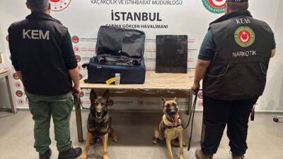 Ticaret Bakanlığı İstanbul Gümrük Muhafaza Kaçakçılık ve İstihbarat Müdürlüğü ekiplerince,