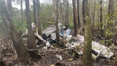 ABD'nin Florida eyaletinde Cessna 208 tipi özel uçak ormanlık alana