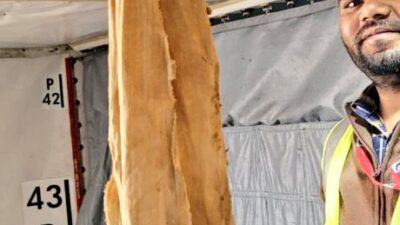 Air India’nın Boeing 777-300ER tipi uçağı, 12 tuvaletten 11’inin tıkanması