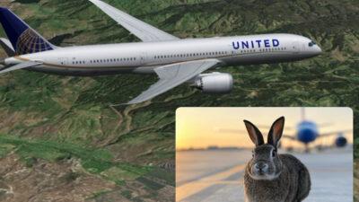 United Airlines’a ait bir Boeing 737-800 tipi uçak (UA2325 sefer