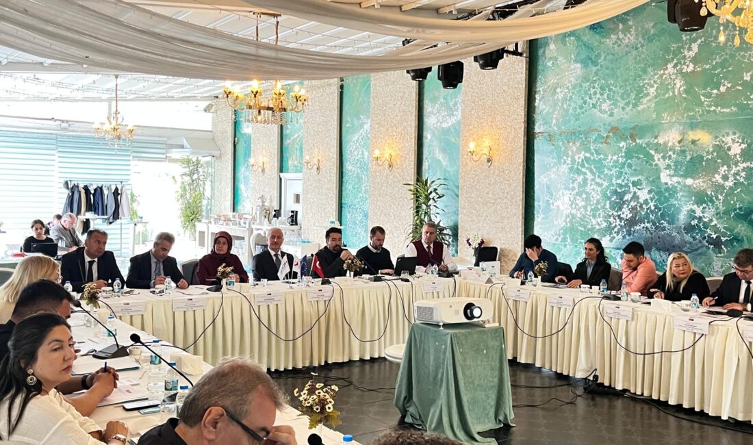İçişleri Bakanlığı Göç İdaresi Başkanlığı tarafından yürütülen "Havalimanlarında Sınır ve