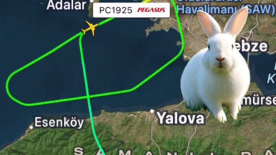 Sabiha Gökçen’de tavşan nedeniyle uçak pisti pas geçti