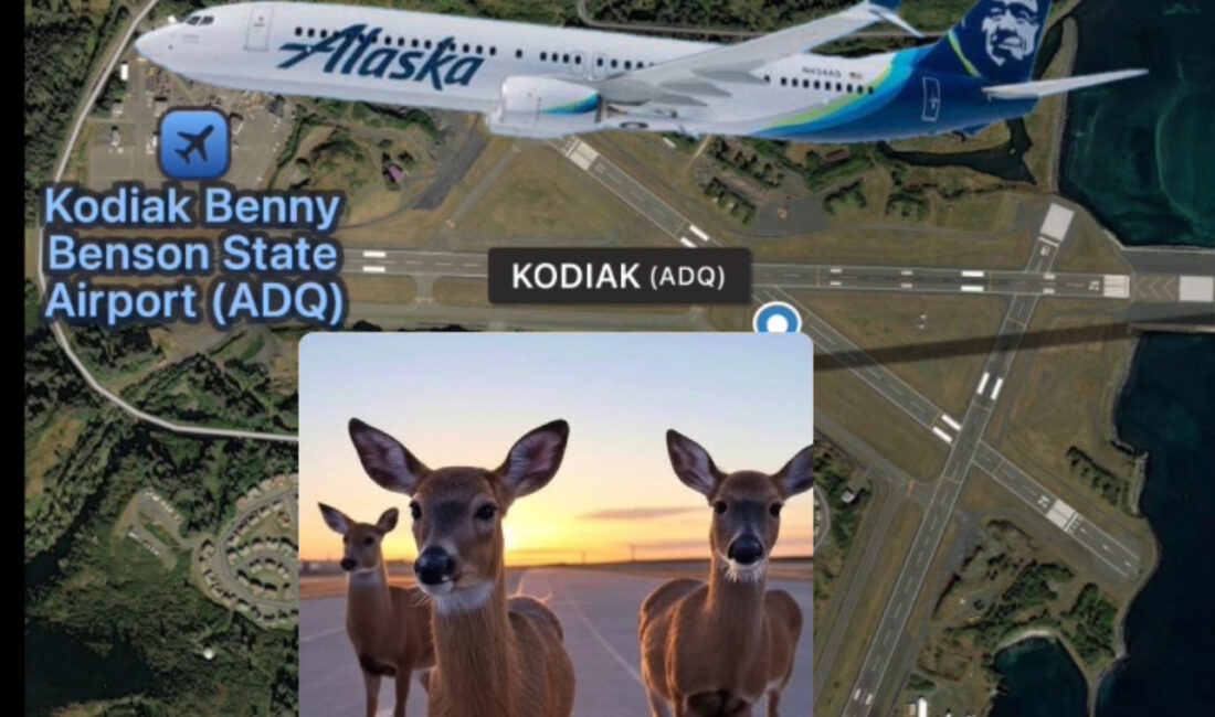 Alaska Havayolları'nın Anchorage’den havalanan Boeing 737-8 MAX tipi yolcu uçağı,