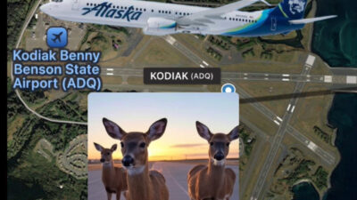 Alaska Havayolları'nın Anchorage’den havalanan Boeing 737-8 MAX tipi yolcu uçağı,