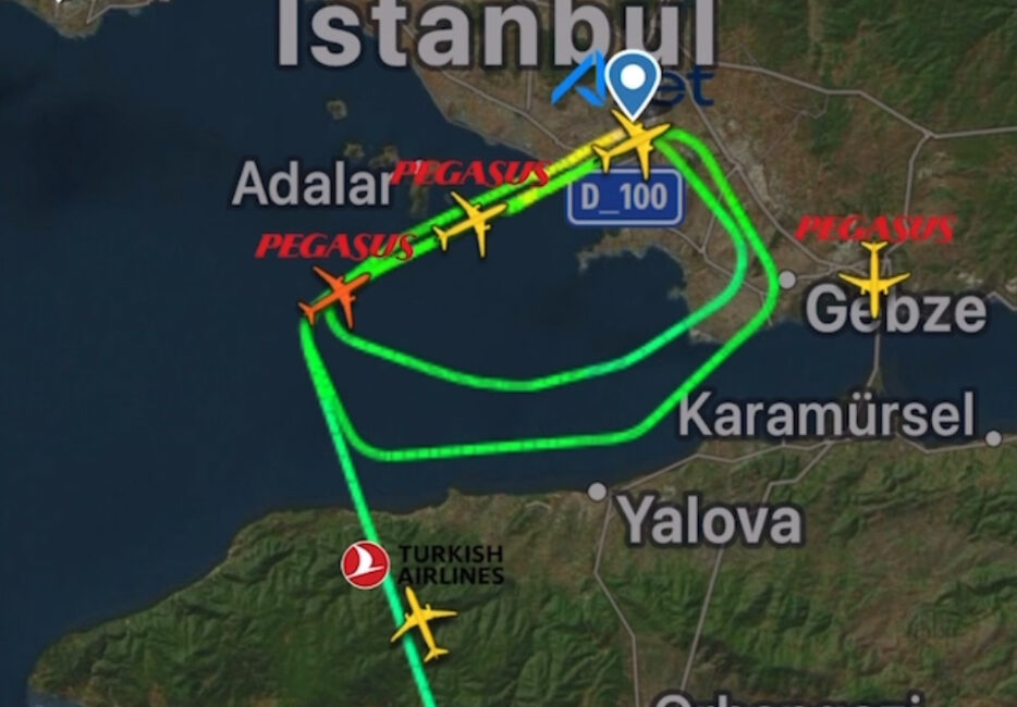 Sabiha Gökçen’de kuşlar uçuş trafiğini etkiledi Pegasus uçağı inişte kuşa çarptı. Bir başka uçağı ise pisti