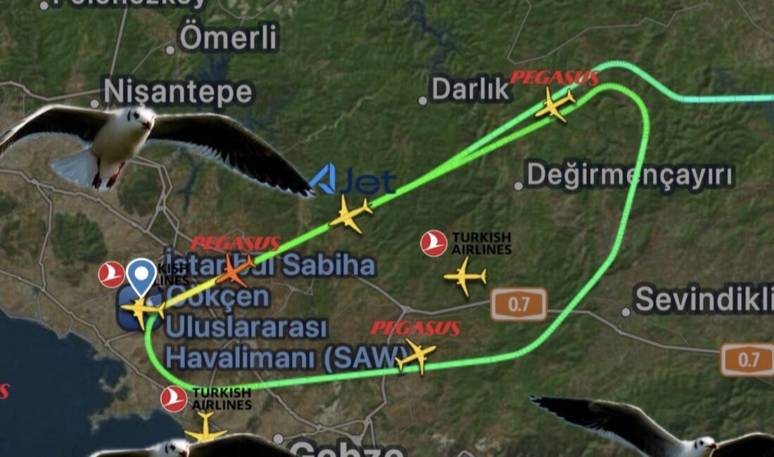 Sabiha Gökçen Havalimanı’nda Uçaklara Martı Engeli: 3 Uçak Pisti Pas