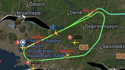 Sabiha Gökçen Havalimanı’nda Uçaklara Martı Engeli: 3 Uçak Pisti Pas