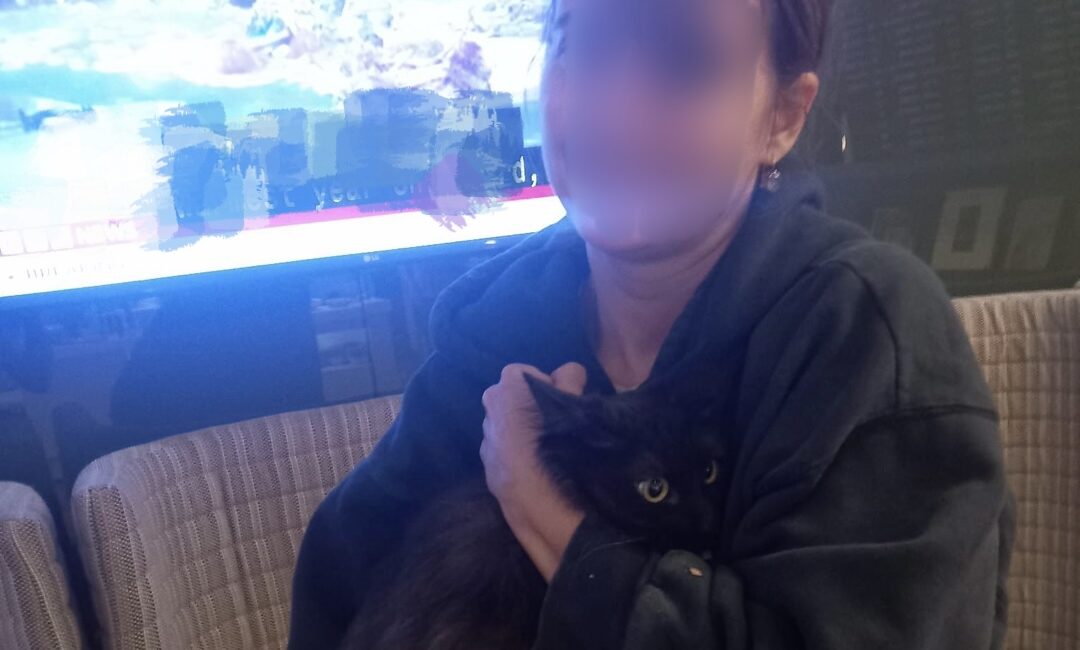 İstanbul Havalimanı’nda 12 Saat Süren Evcil Kedi Kurtarma Operasyonu: Termal