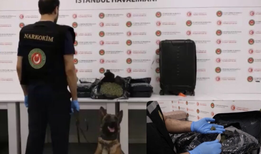 Gümrük Ekiplerinden İstanbul Havalimanı’nda Operasyon: Bangkok’tan İstanbul’a gelerek Londra’ya gidecek