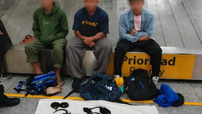 Havalimanında Görevliler Çantaları Açınca Şok Oldu: Bacakları Bağlı 12 İguana