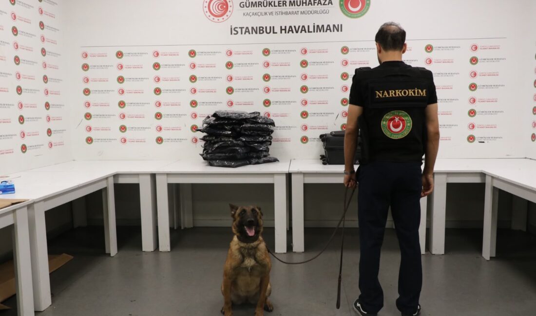 İstanbul Havalimanı’nda uy*şturucu operasyonu Ticaret Bakanlığına bağlı Gümrükler Muhafaza ekipleri, İstanbul Havalimanı’nda düzenlediği operasyonda