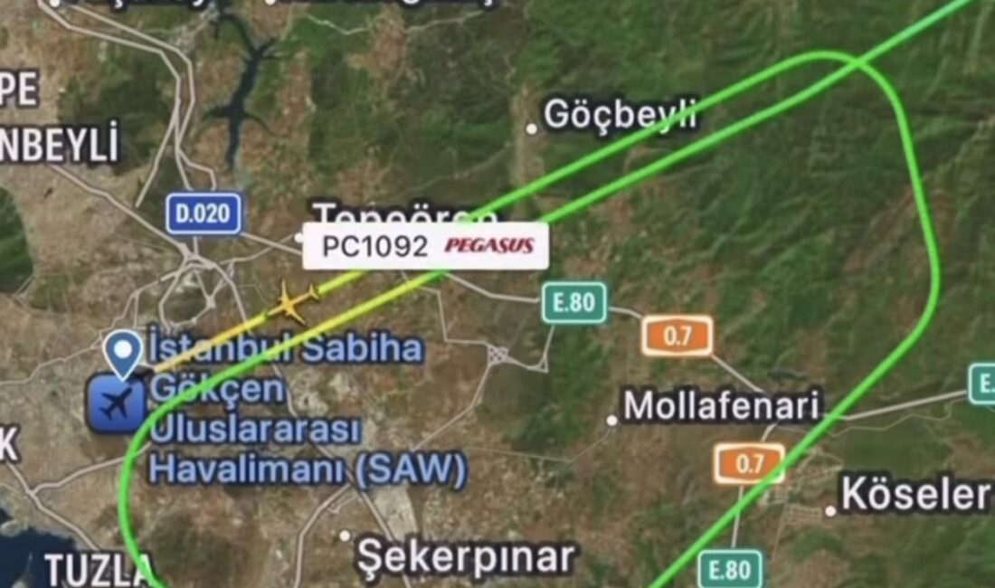Sabiha Gökçen uçuş trafiğini kuşlar olumsuz etkiledi Sabiha Gökçen’de Kuşlar Uçuş Trafiğini Olumsuz Etkiledi. Uçaklar Pisti Böyle