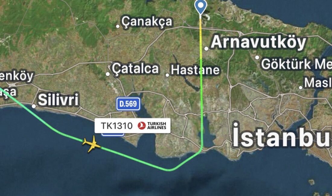 Süt Alerjisi Olduğu Öğrenilen Yolcu Kendini İyi Hissetmeyince Pilot İnişte