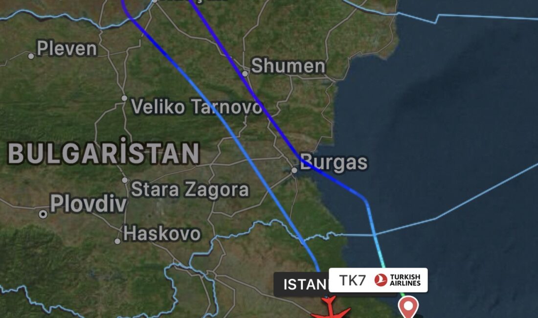 THY’nin İstanbul Washington Uçağı Çocuk Bir Yolcu Rahatsızlanınca Tıbbi Acil